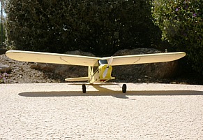 Cub 2